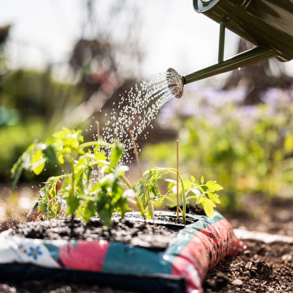 RocketGro Peat-Free Tomato & Veg Planter 60L