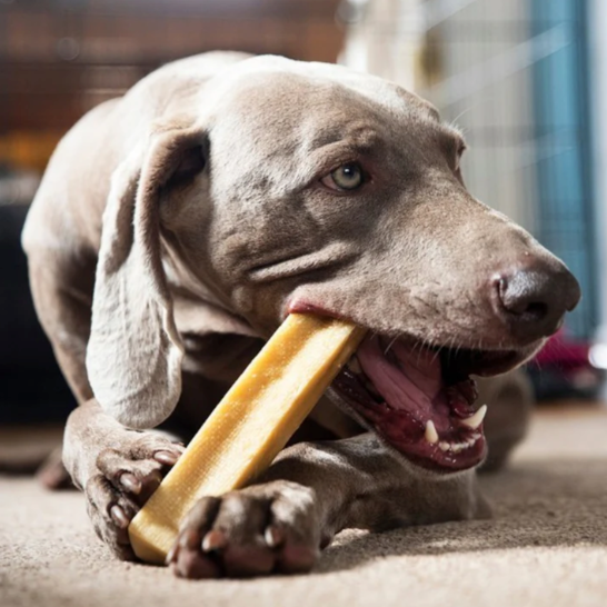 Petello Yak Cheese with Banana Dog Chew 155g