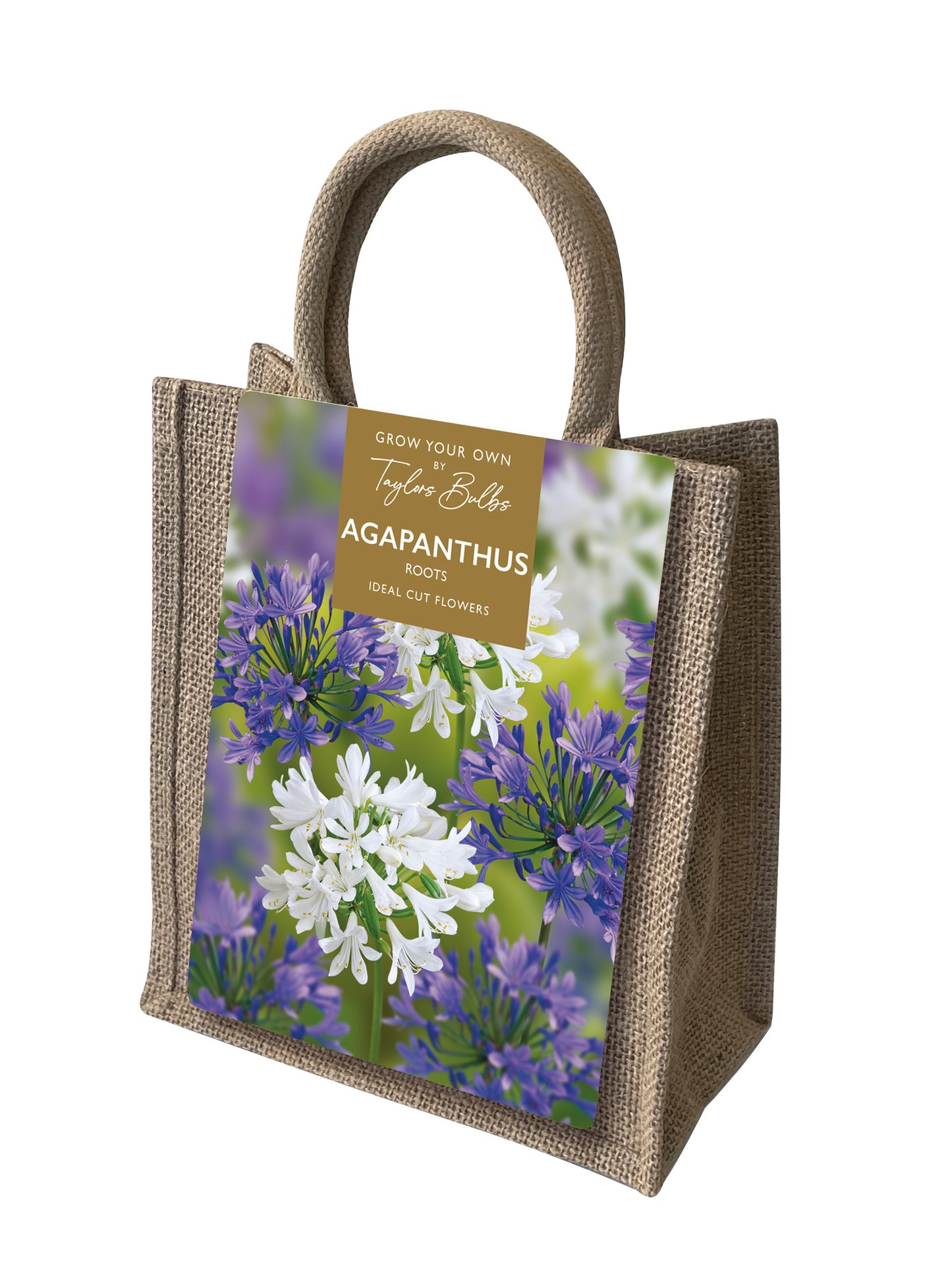Taylors Bulbs Agapanthus Jute Dahlia Gift Bag