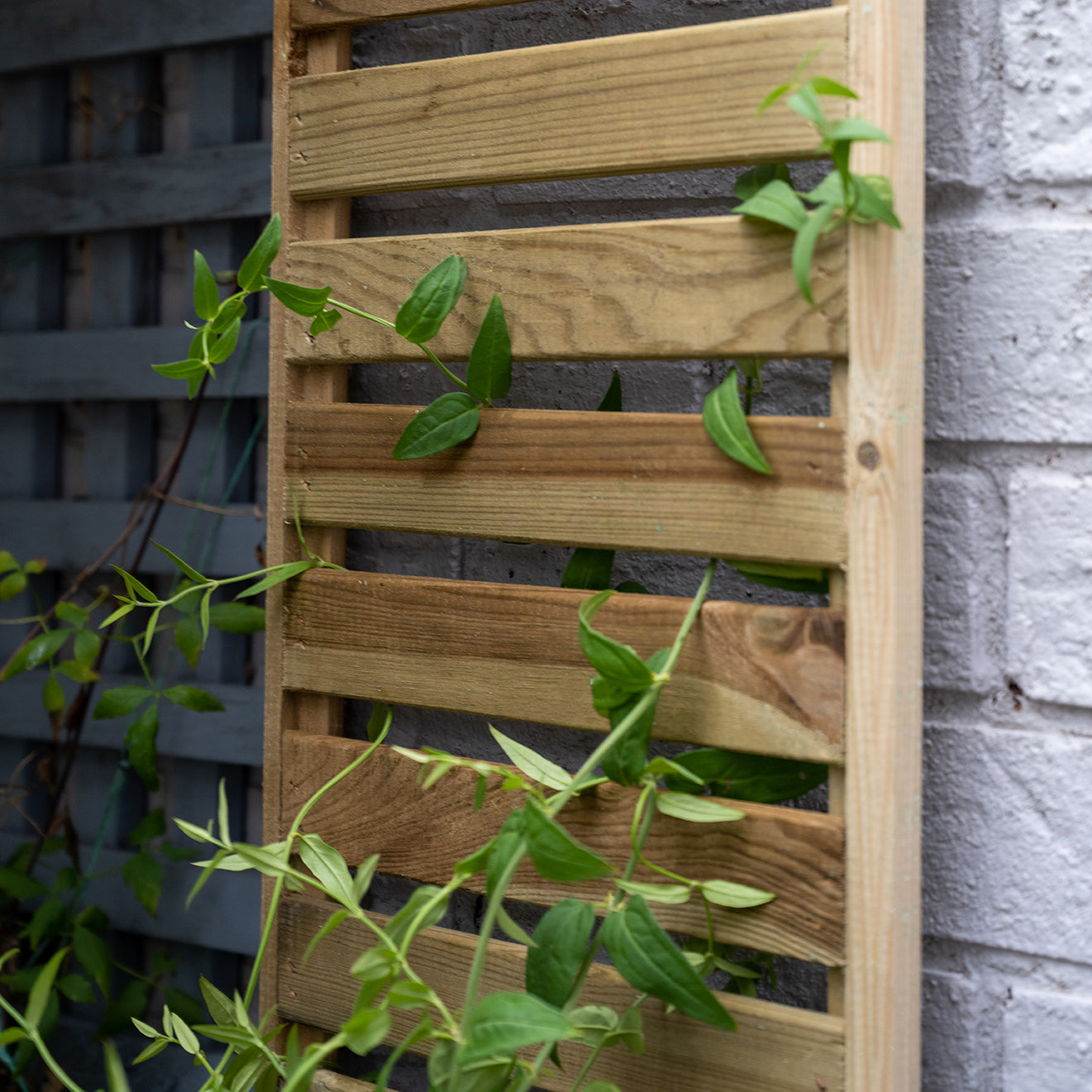 Forest Garden Slatted Trellis