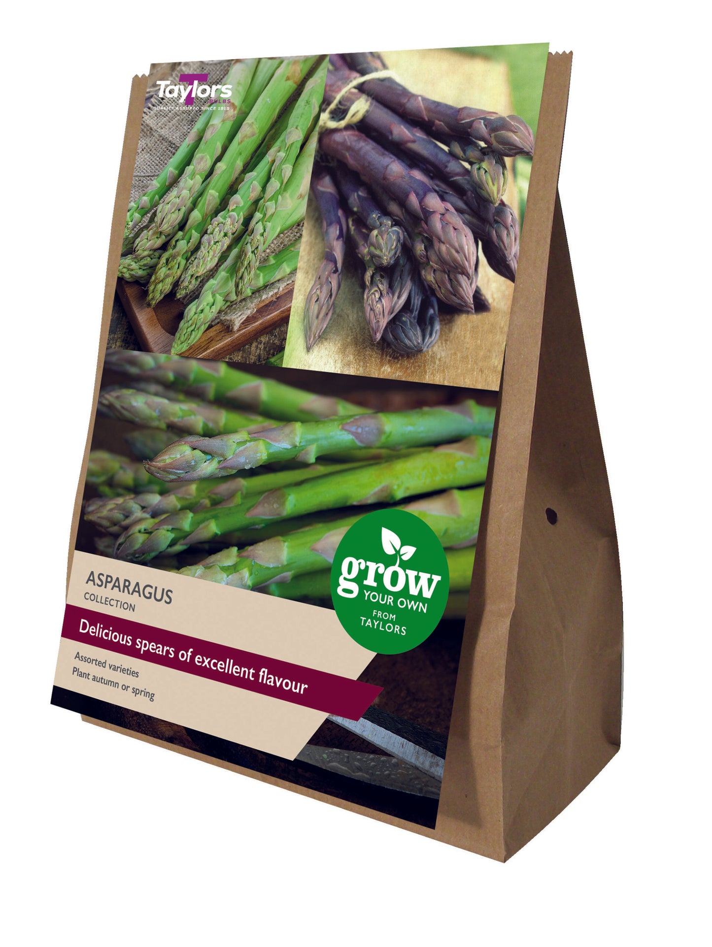 Taylors Bulbs Asparagus Collection