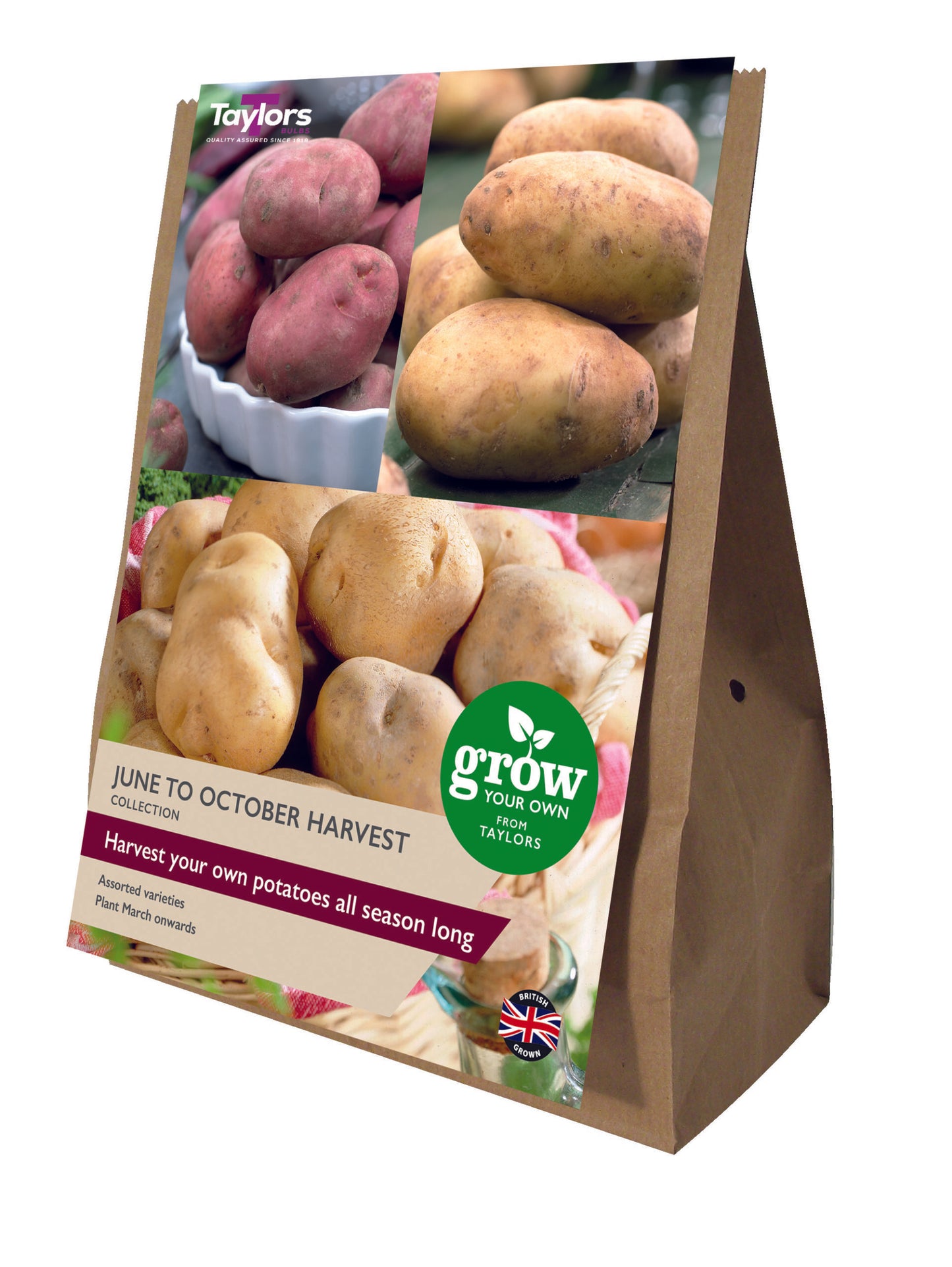 Taylors Bulbs June to October Harvest Collection