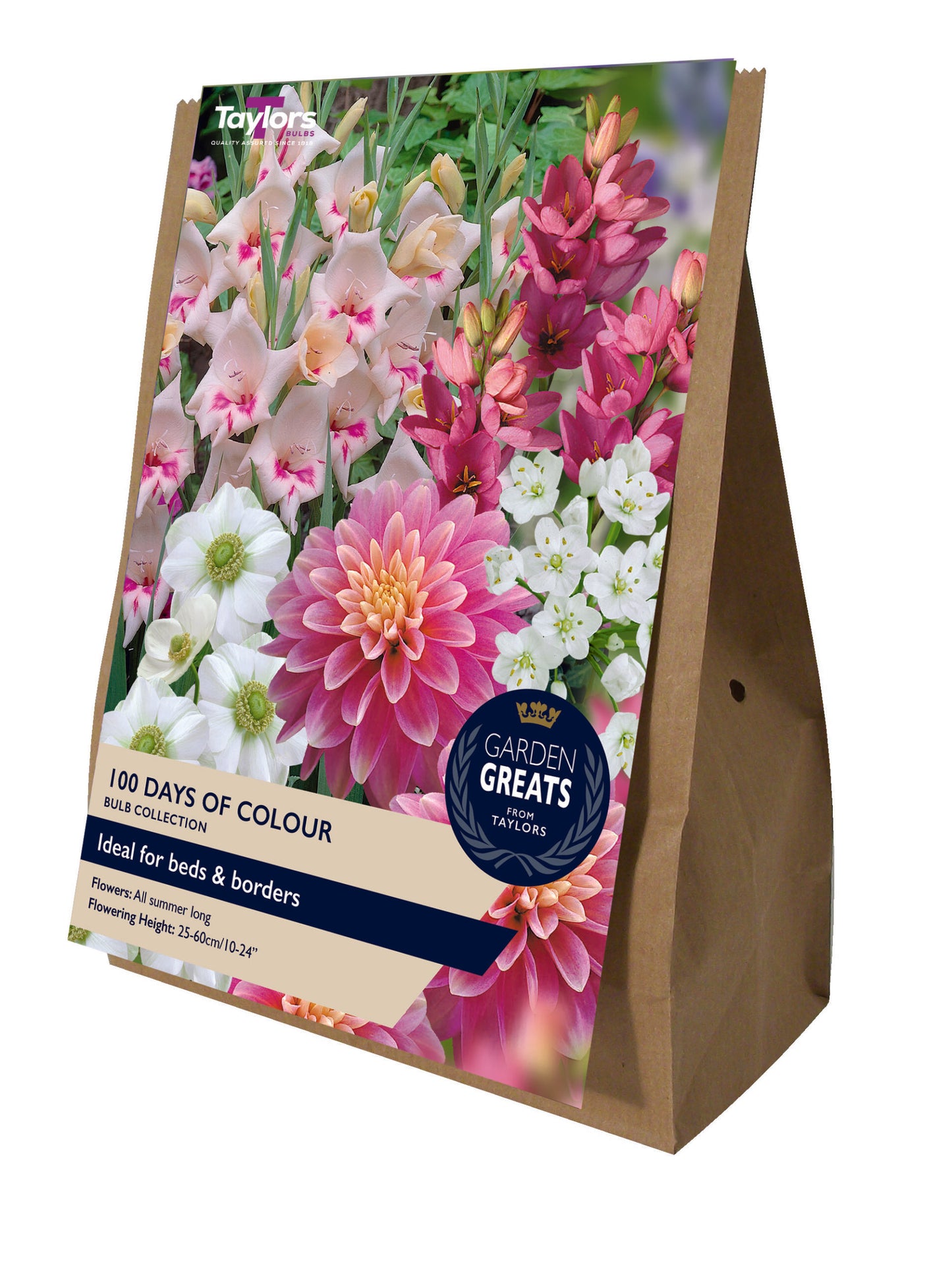 Taylors Bulbs 100 Days of Colour - Bulbs Collection