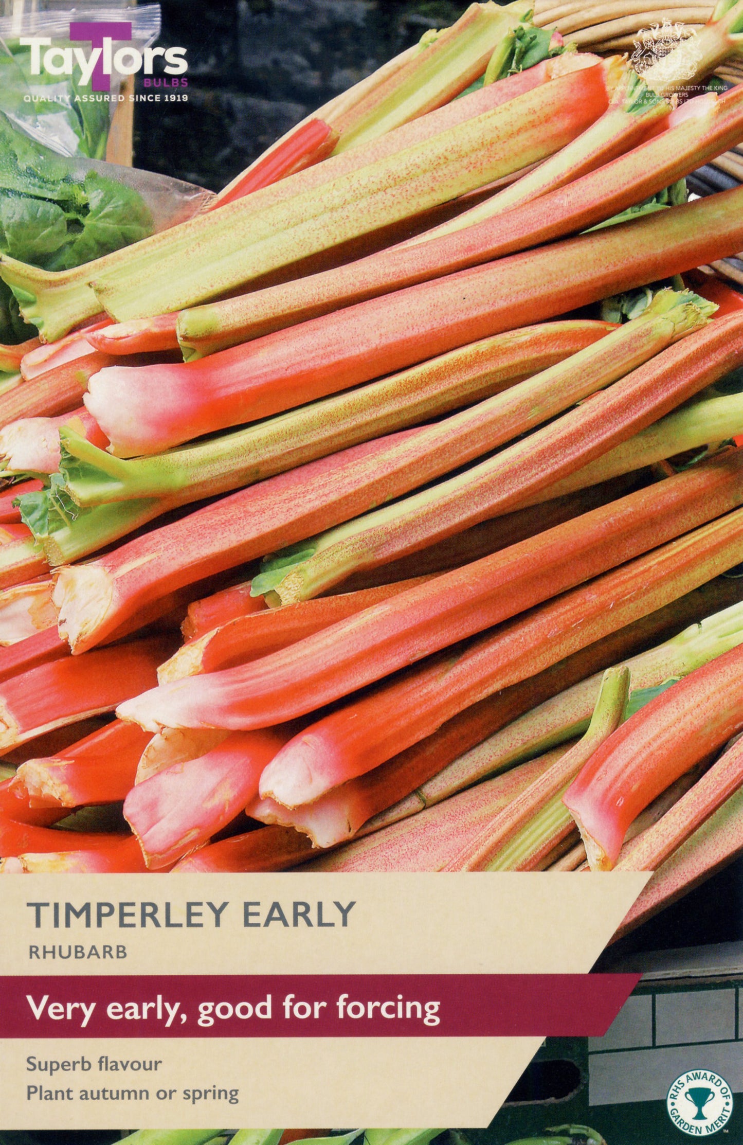 Taylors Bulbs Timperley Early Rhubarb