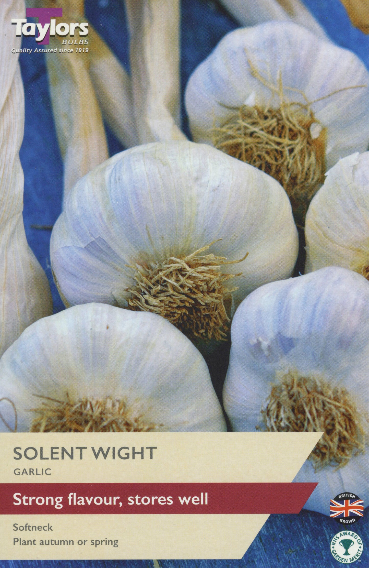 Taylors Bulbs Solent Wight Garlic Set