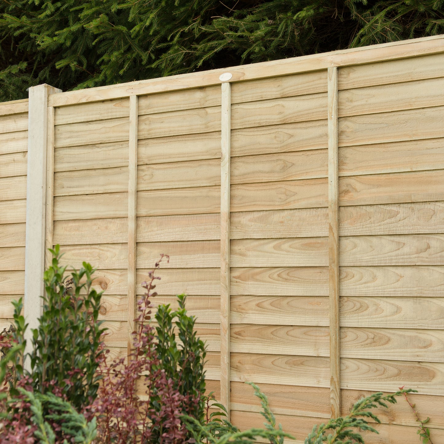 Forest Garden Pressure Treated Superlap Fence Panel
