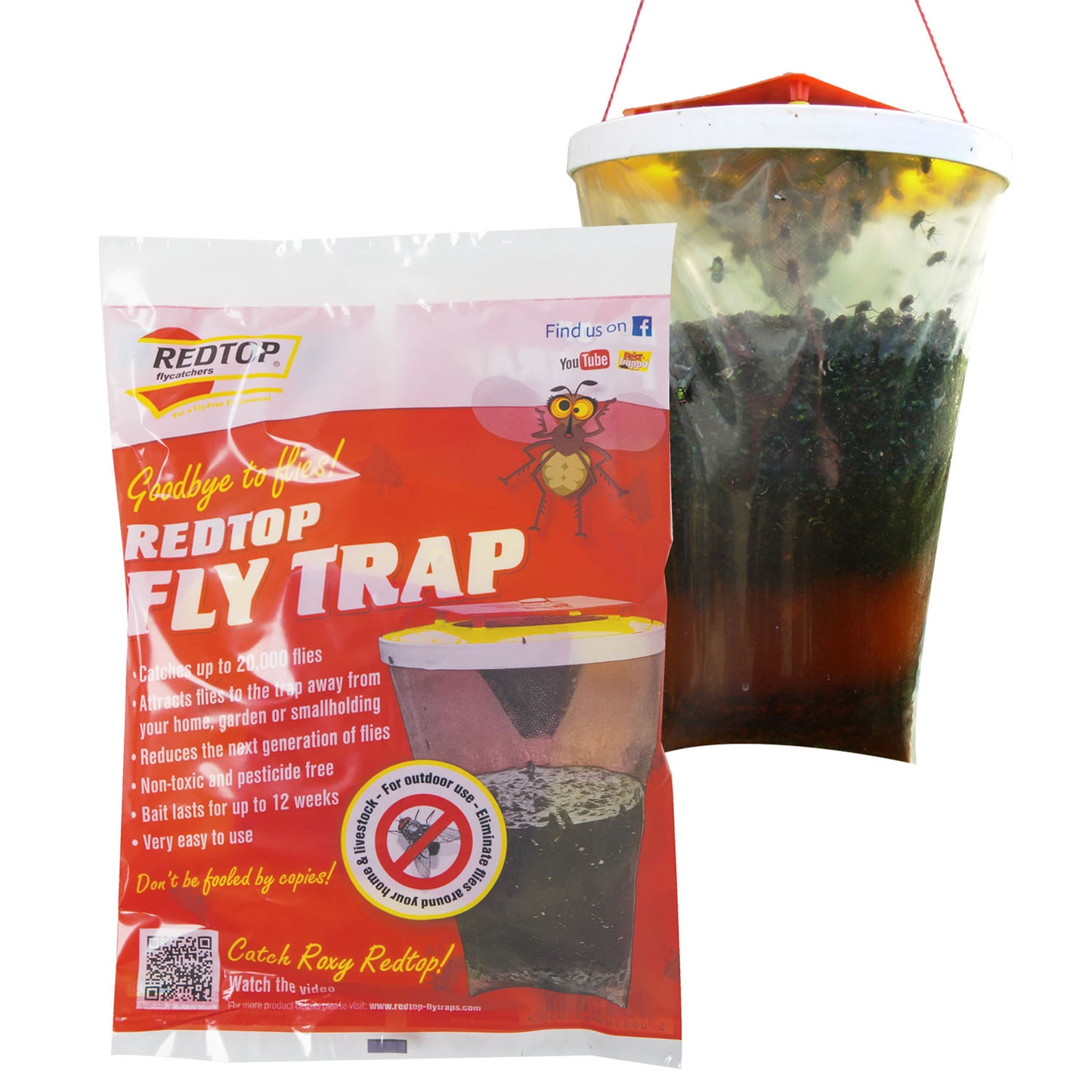 Redtop Fly Trap