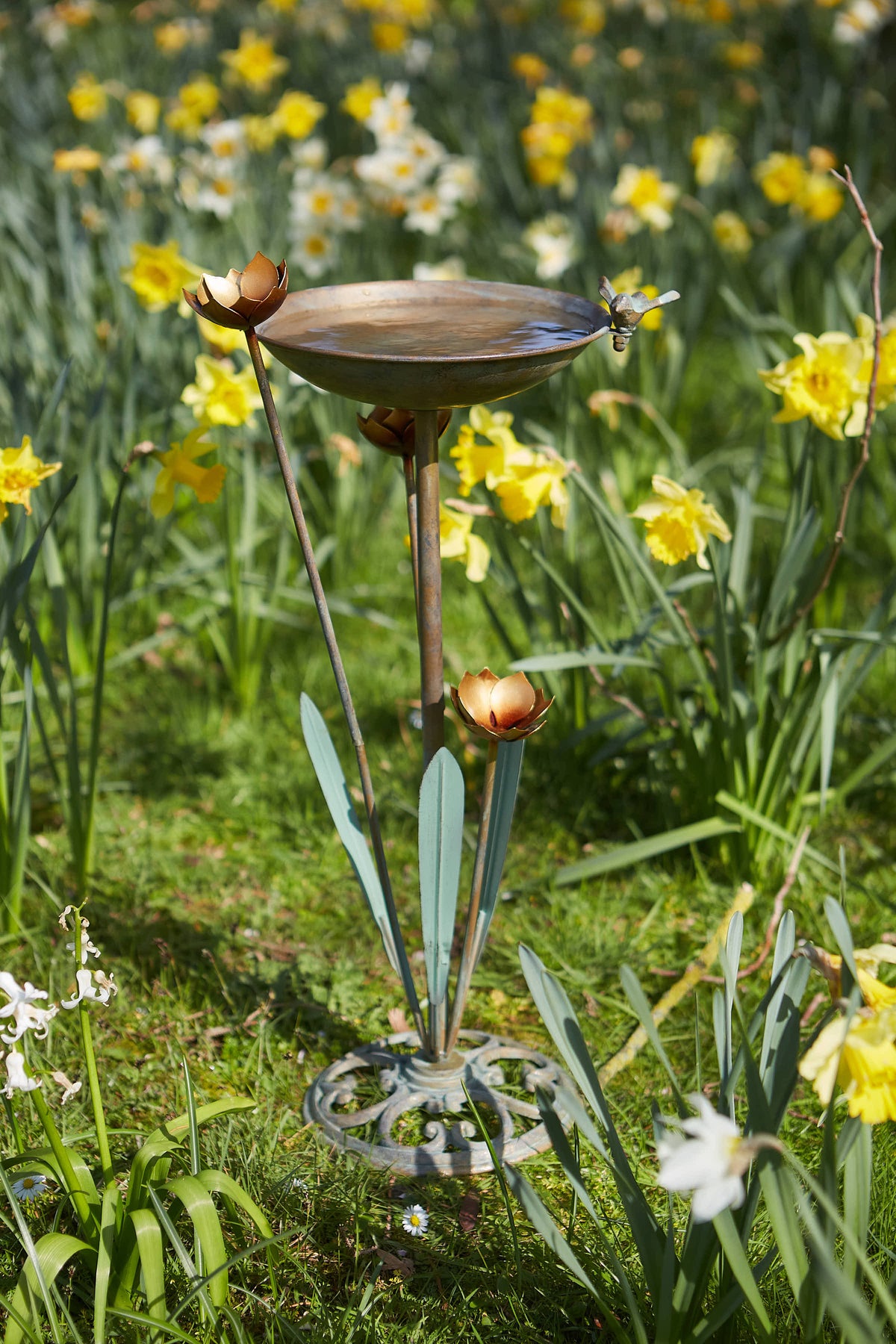 Tom Chambers Waterlily Bird Bath with cast iron base