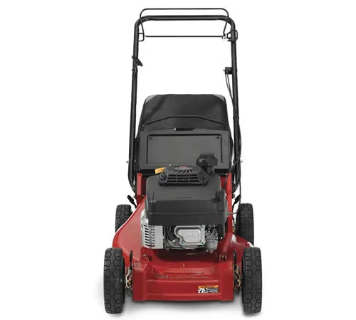 Toro 22291 ProLine FS Rear Roller Heavy Duty Petrol Mower 53cm