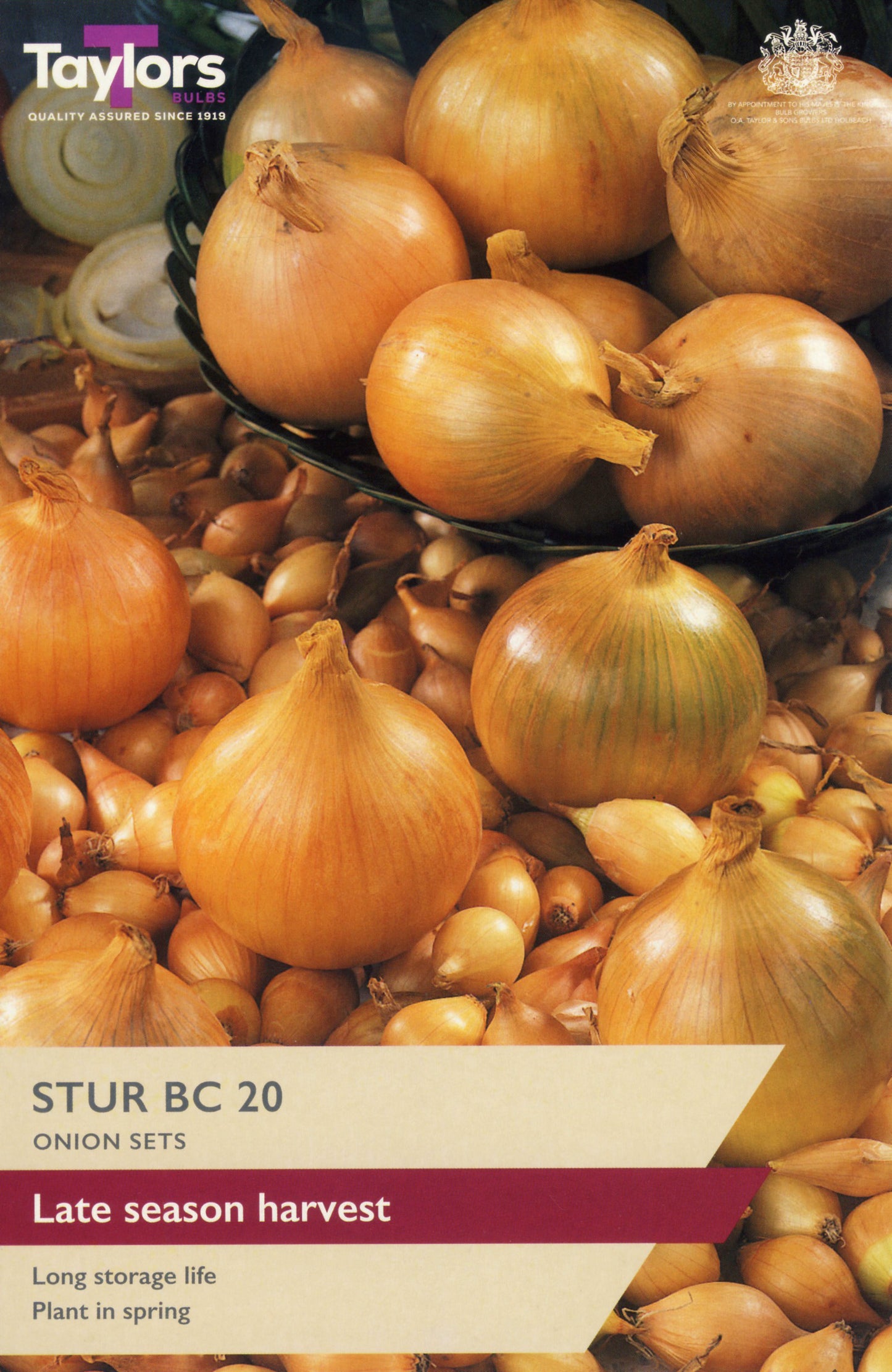 Taylors Bulbs Stur BC 20 Onion Sets