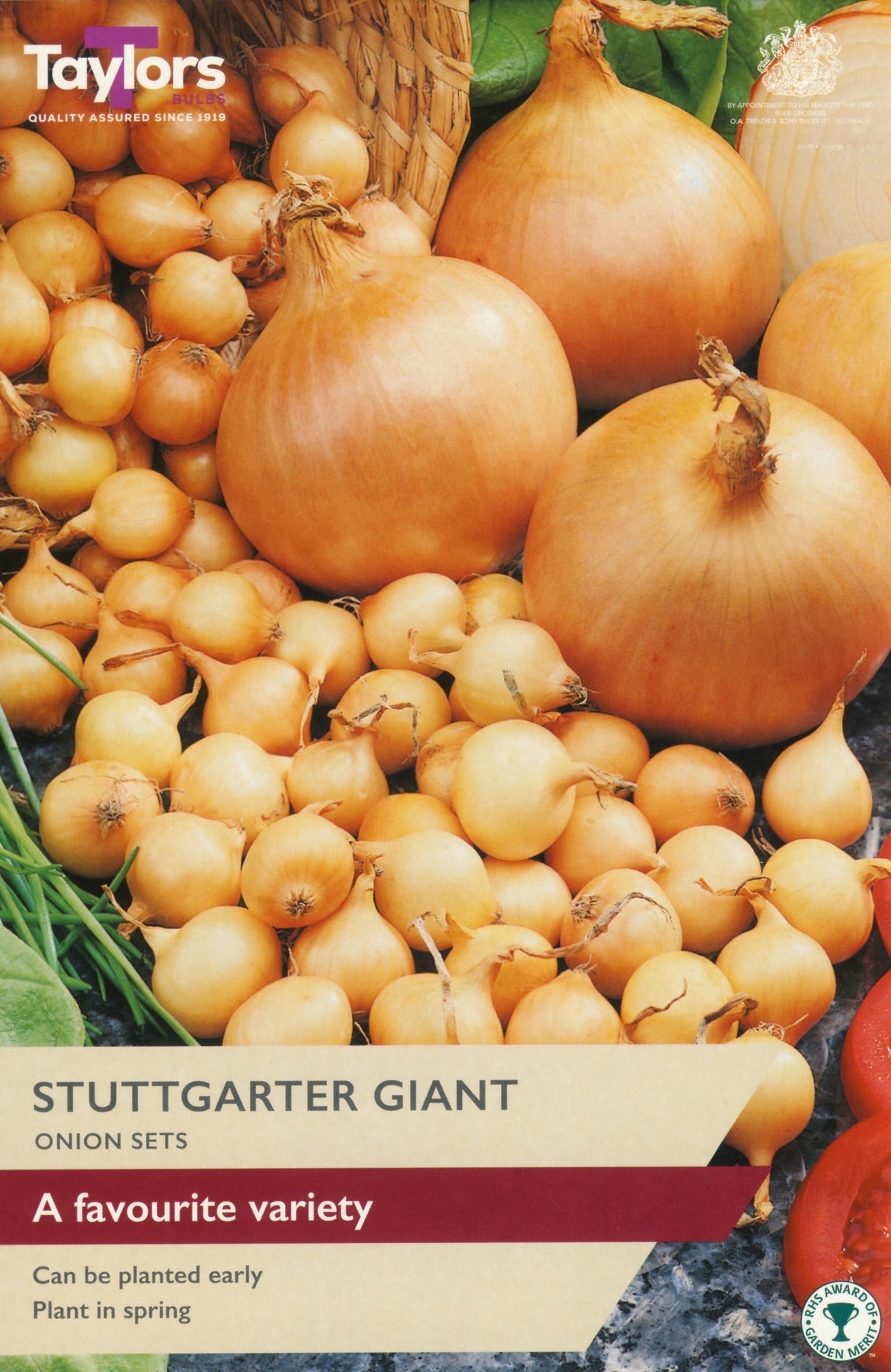 Taylors Bulbs Stuttgarter Giant Onion Set 50-Pack