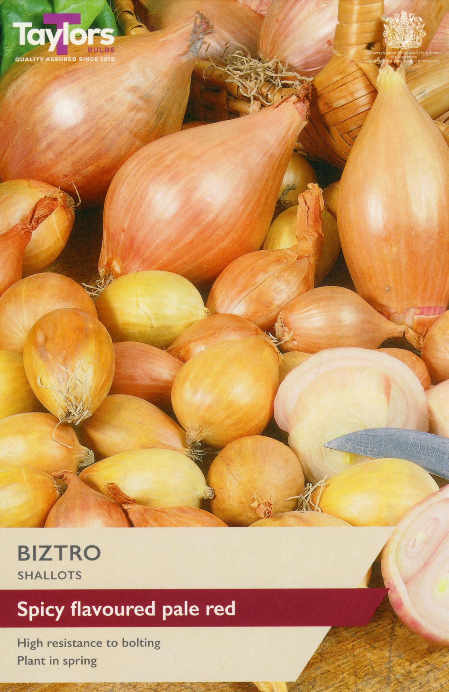 Taylors Bulbs Biztro Shallots