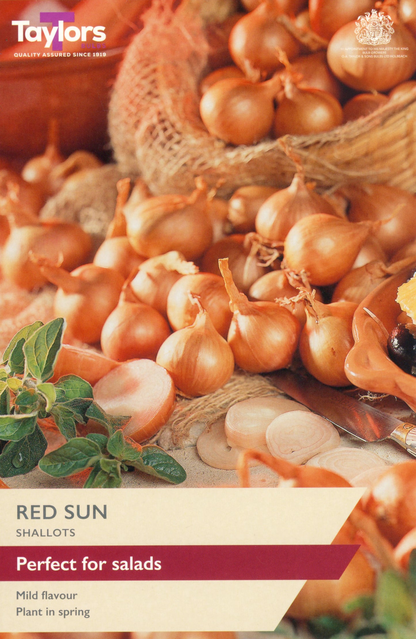 Taylors Bulbs Red Sun Shallots