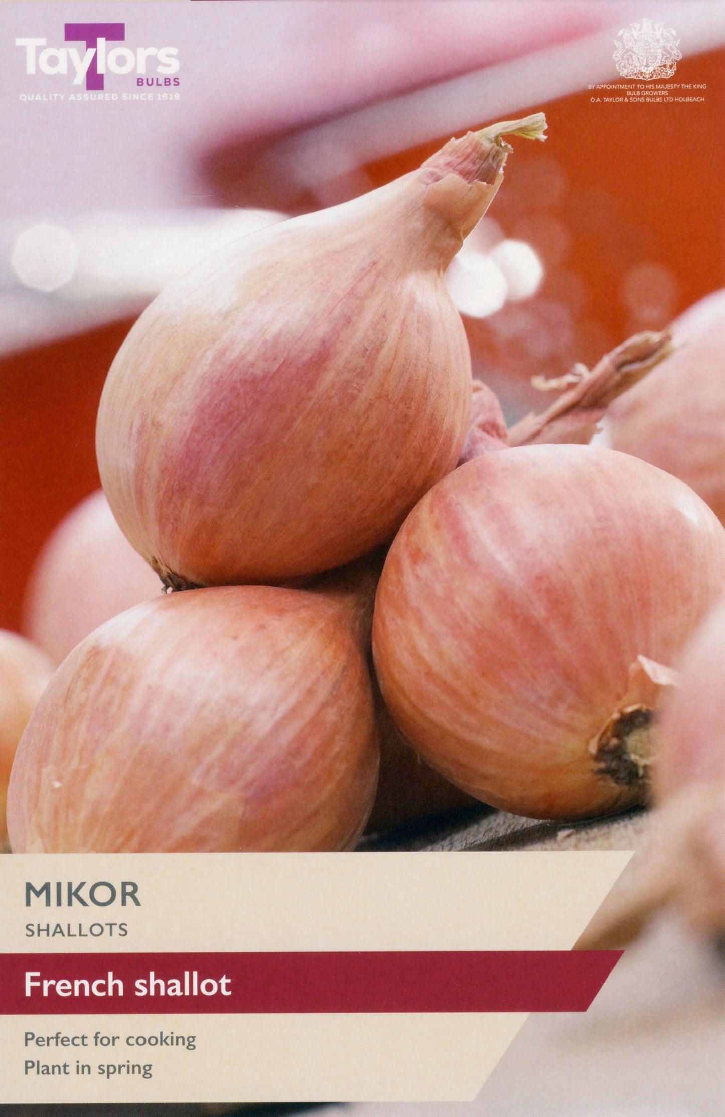 Taylors Bulbs Mikor Shallots
