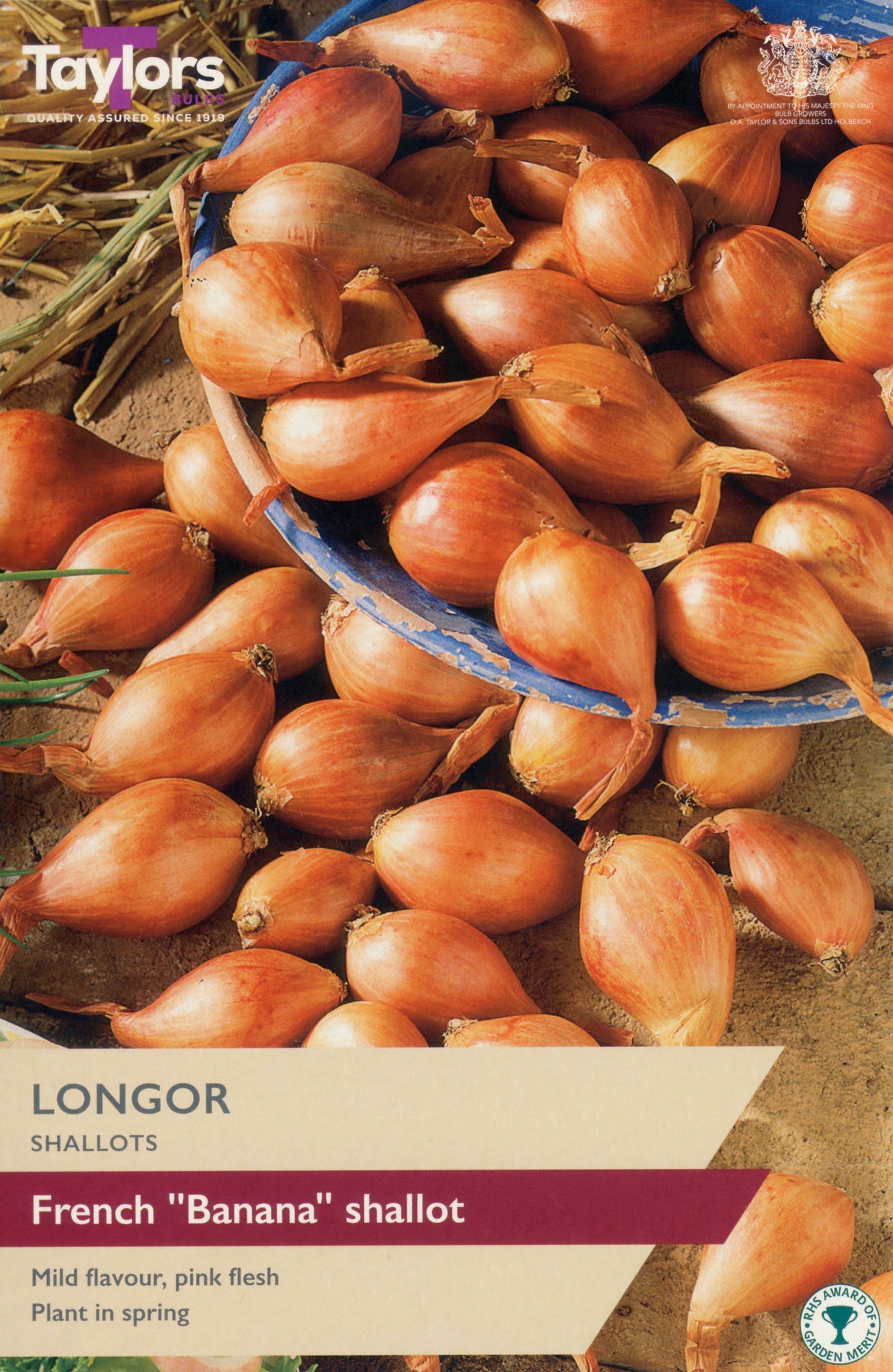 Taylors Bulbs Longor Shallots