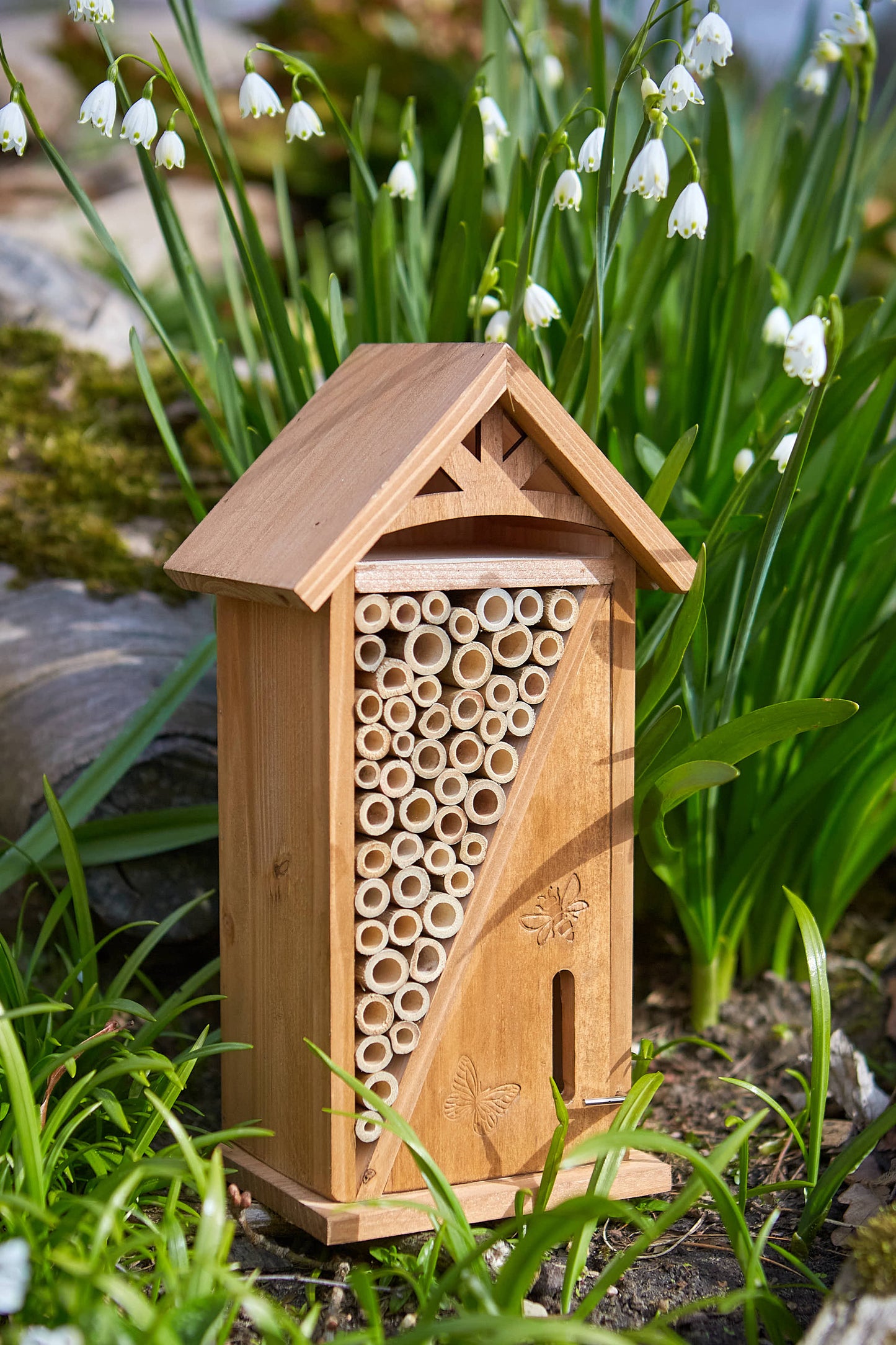 Tom Chambers Butterfly & Bug Buddy