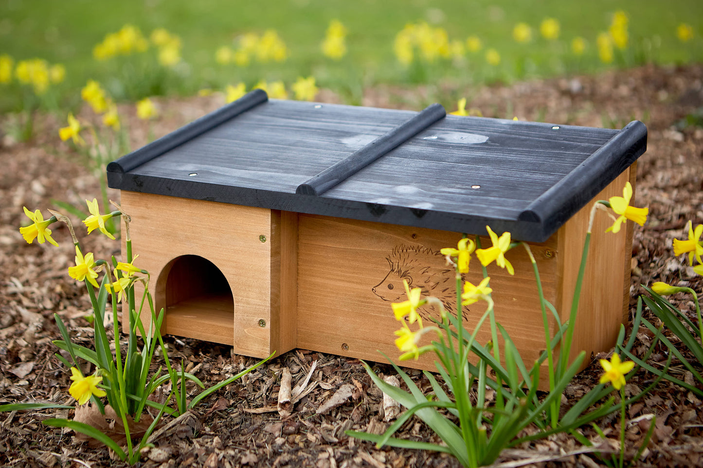 Tom Chambers Prickles Hedgehog House
