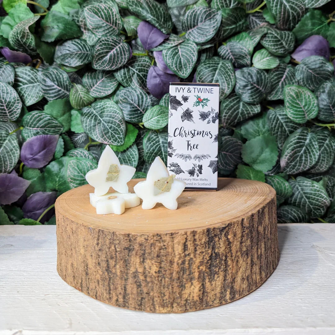 Ivy & Twine Christmas Tree botanical wax melts block displayed beside an aroma burner