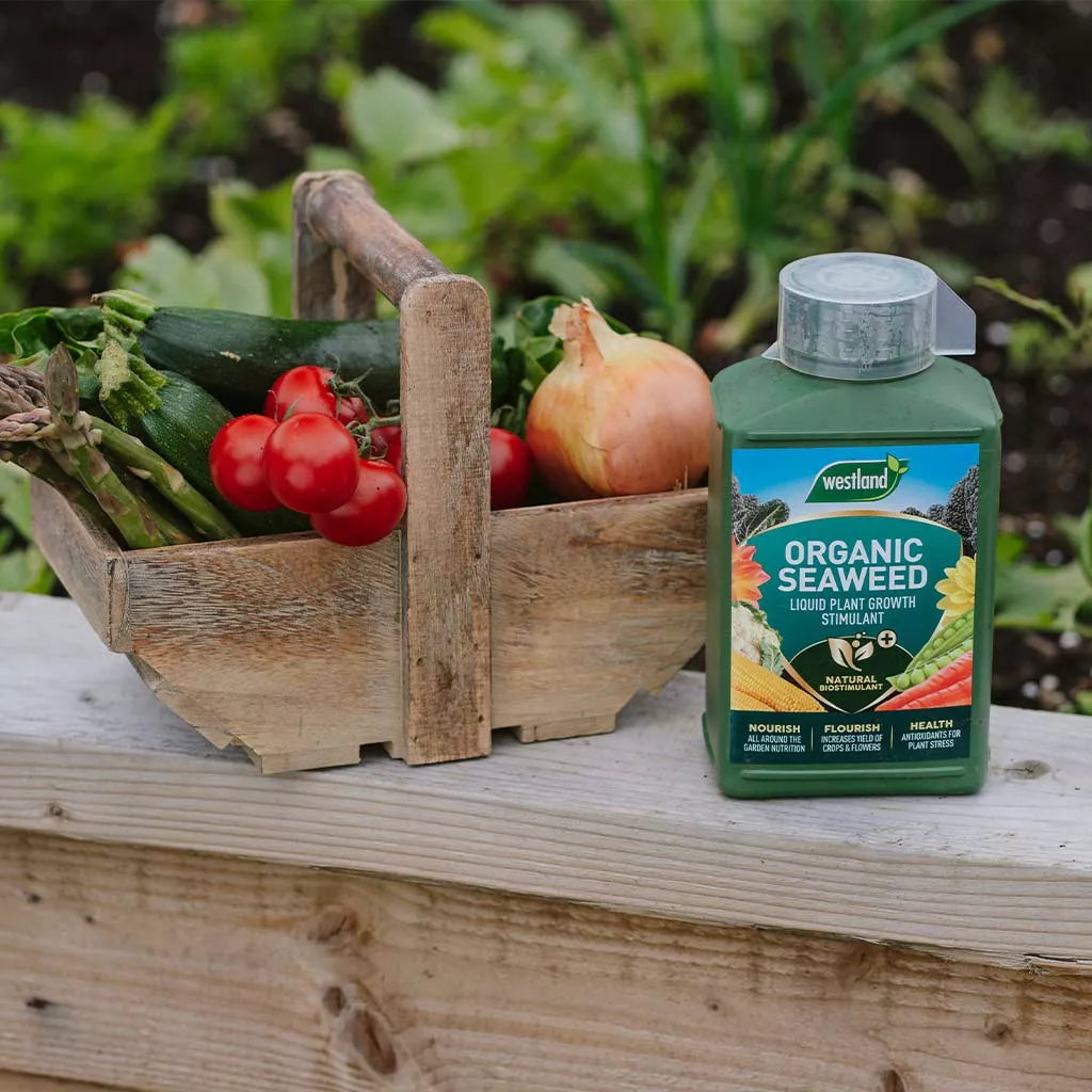 Westland Seaweed Specialist Liquid Feed 1LT