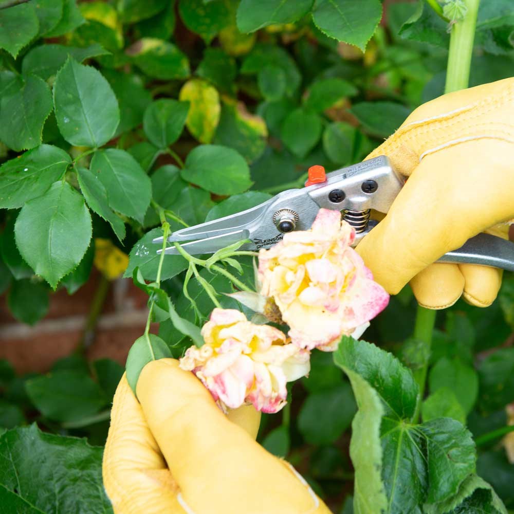 Wilkinson Sword Razorcut Comfort Pruning Snips