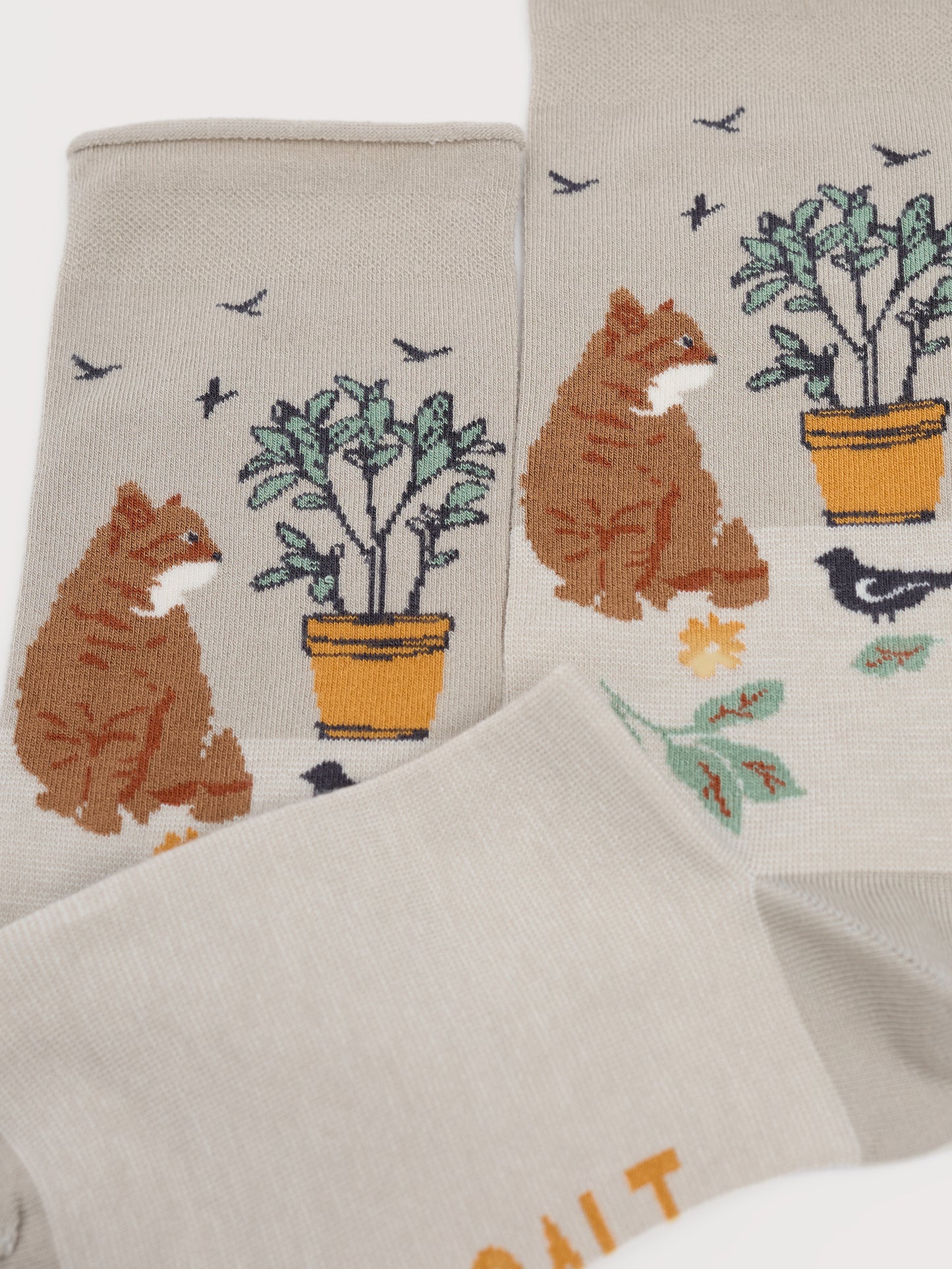 Seasalt Women's Bamboo Arty Socks