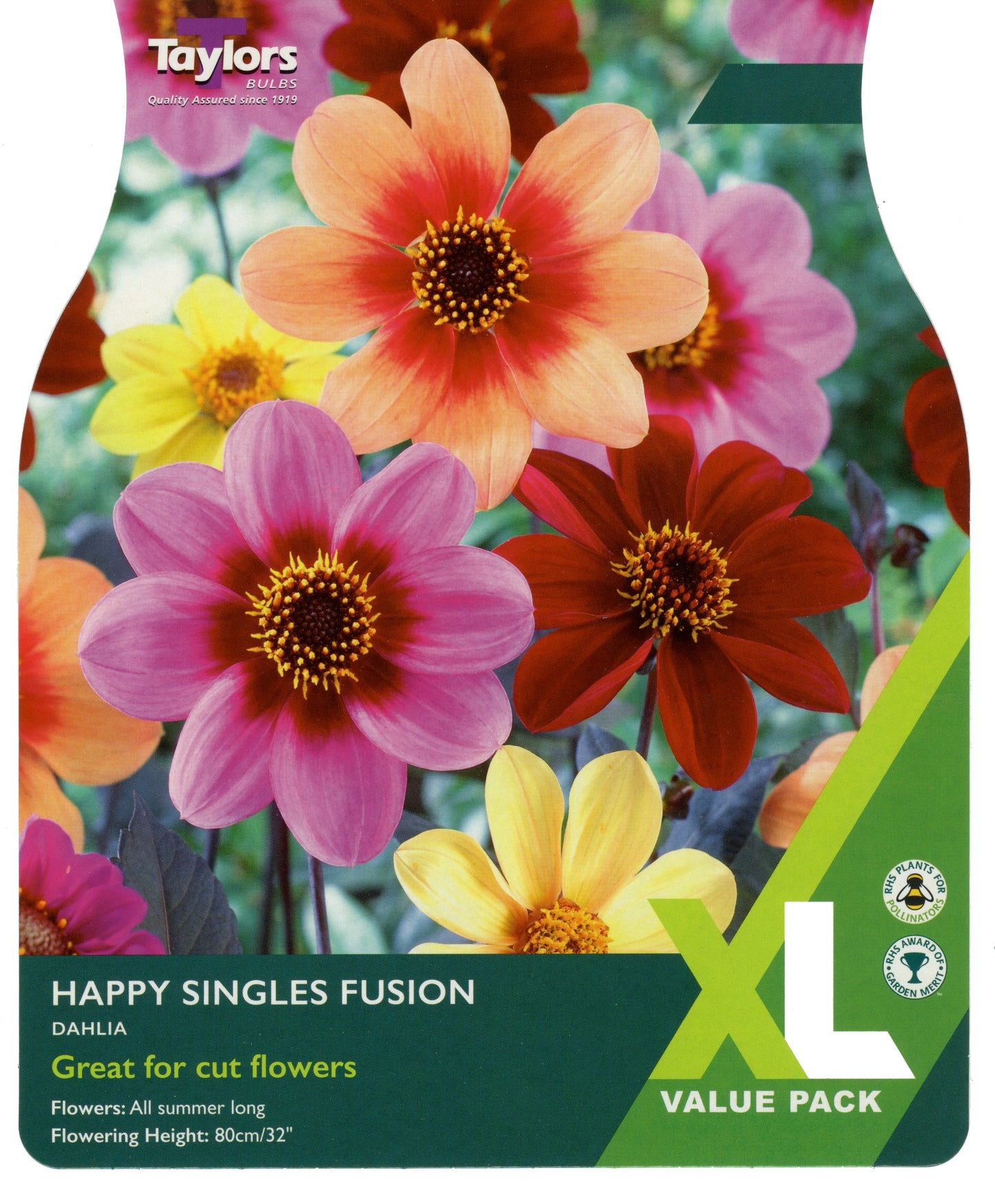 Taylors Bulbs Happy Singles Fusion Dahlia XL Value Pack