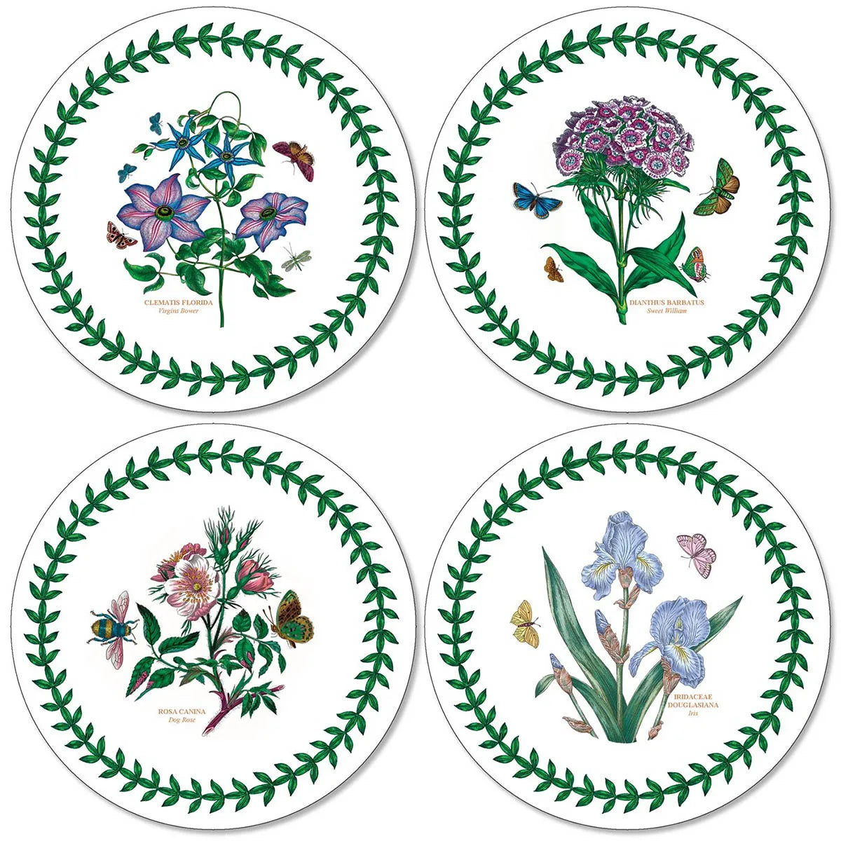 Pimpernel Botanic Garden Set of 4 Round Coasters
