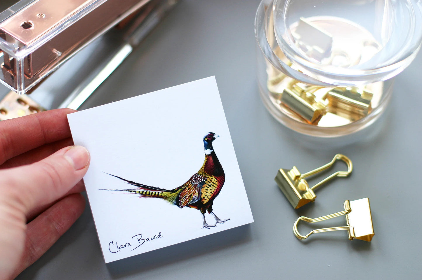 Clare Baird Pheasant Sticky Notes