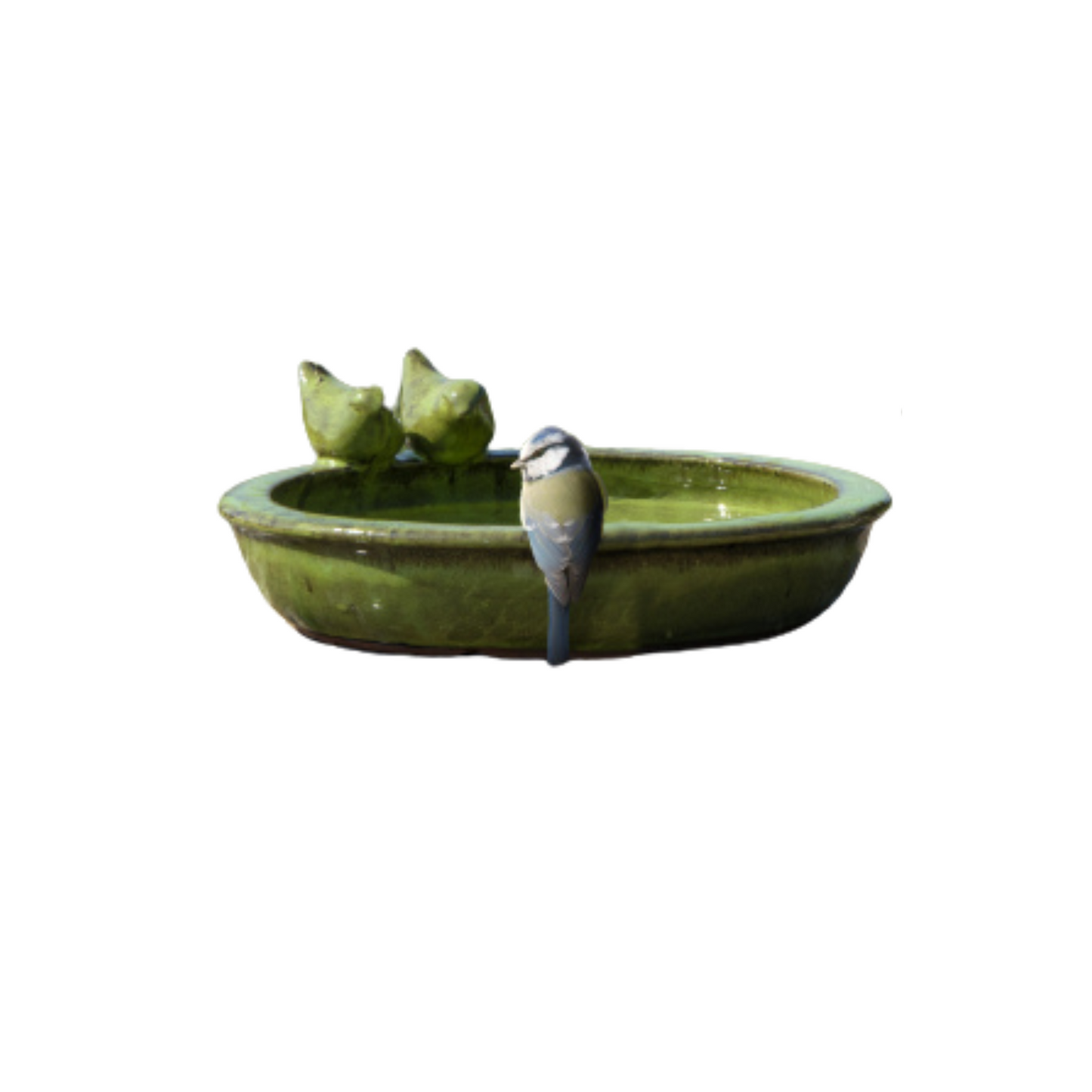 Fallen Fruits Ceramic Bird Bath Bowl