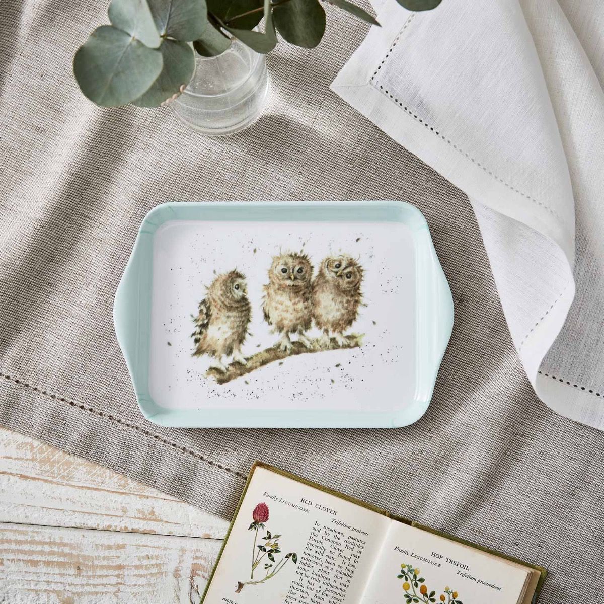 Wrendale Owl Scatter Tray