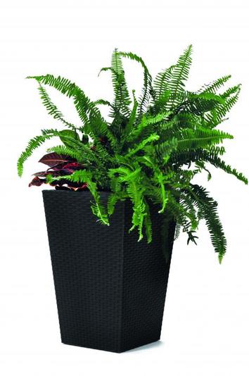 Keter Rattan Rectangular Planter
