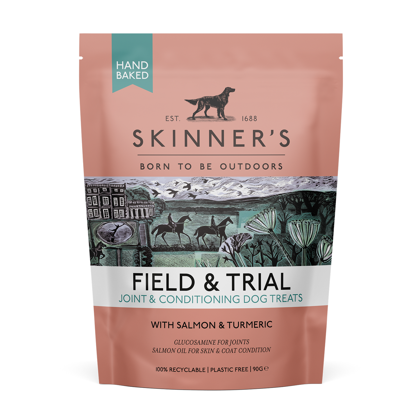 Skinners Field & Trial Salmon Joint & Condition Dog Treats 90g
