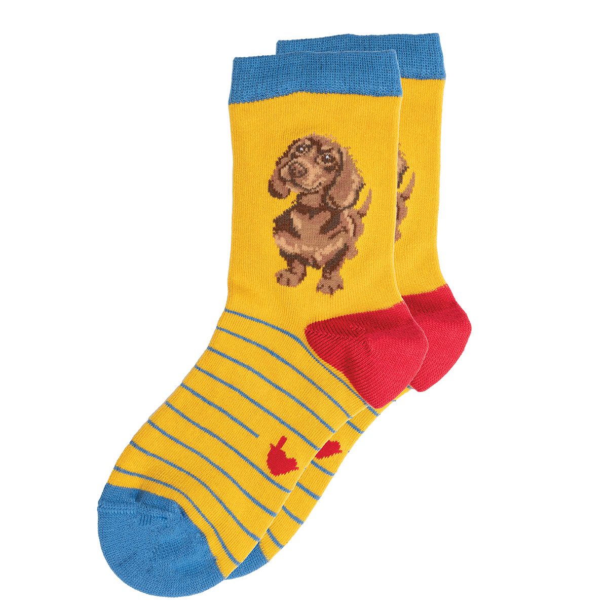 Wrendale Little One Dachshund Socks
