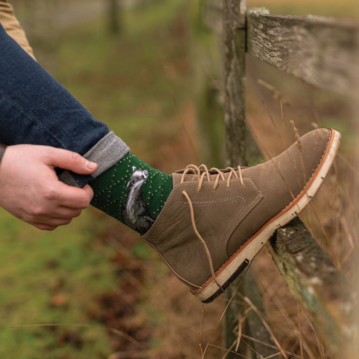 Wrendale The Country Gent Badger Socks