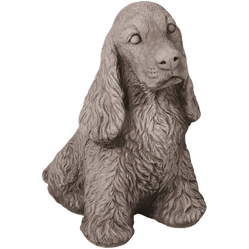 Willowstone Spaniel Dexter