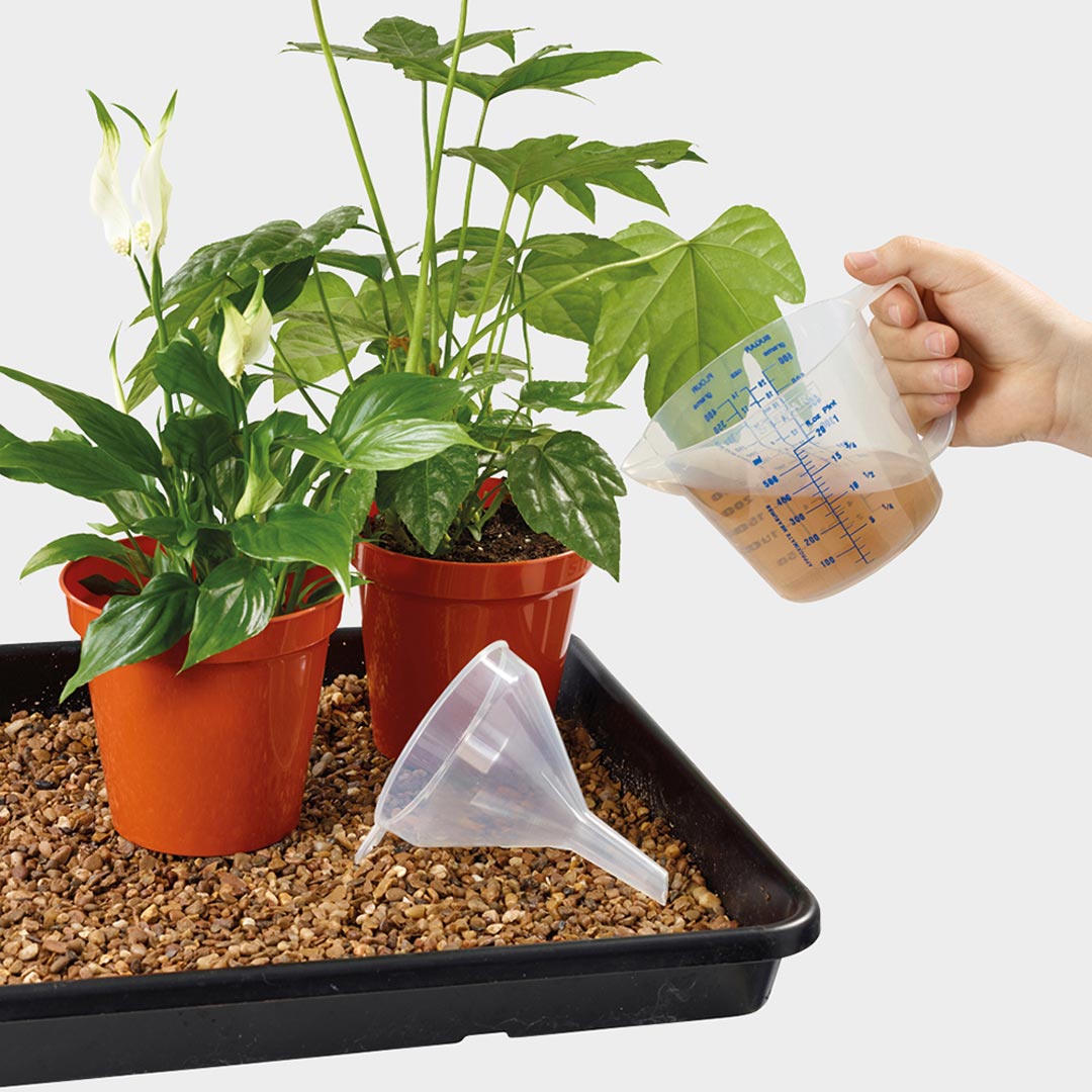 Stewart Measuring Jug Clear 500ml