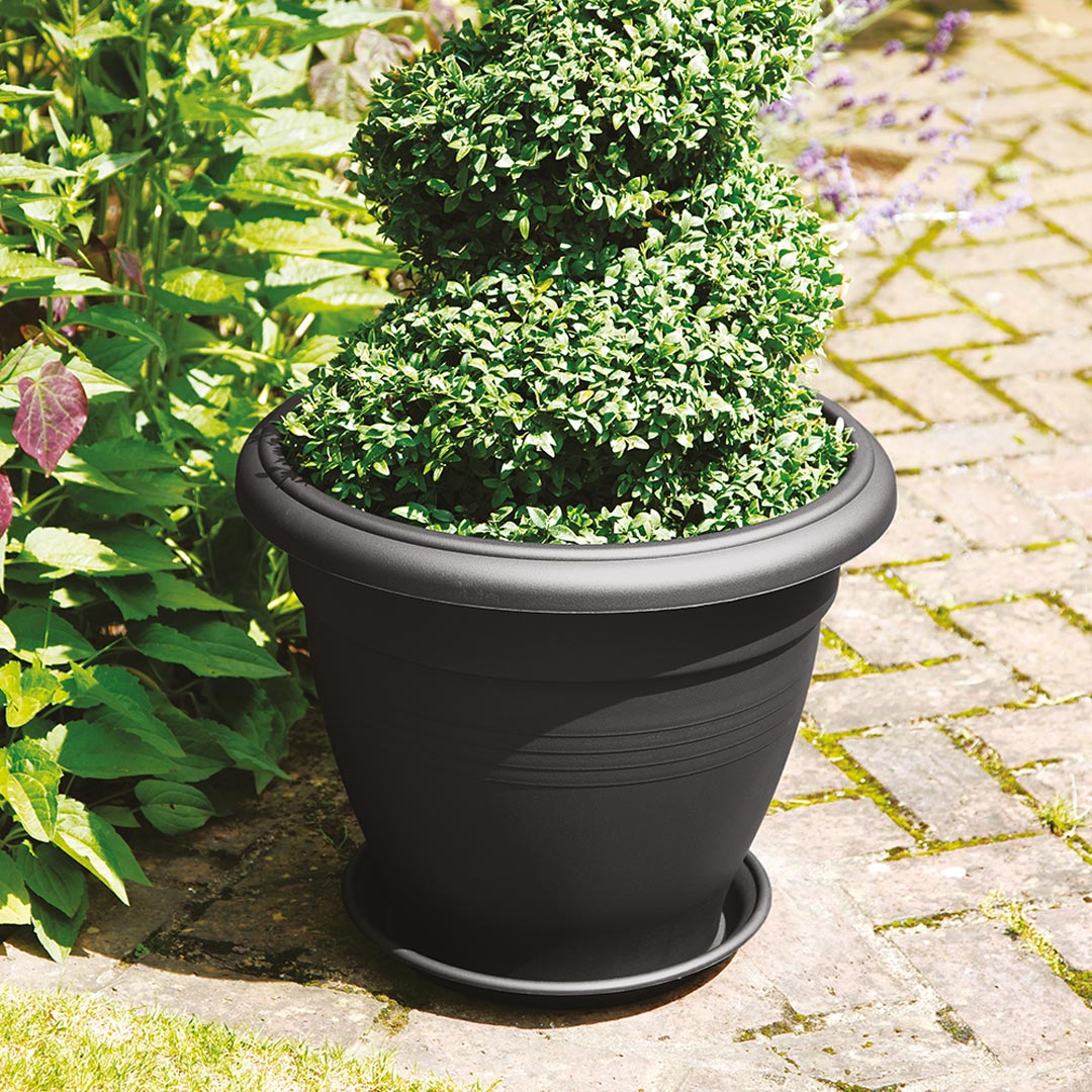 Stewart Palladian Planter Black 30 x 24.5cm