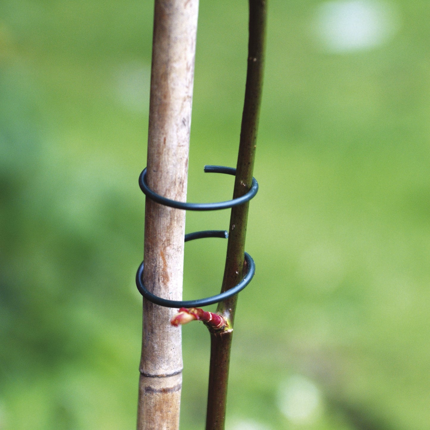 The Good Life PVC Coated Plant Rings x50