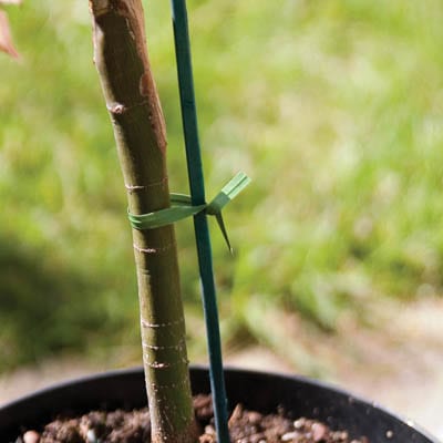 The Good Life Plant Twist Strips 10cm 10-Pack