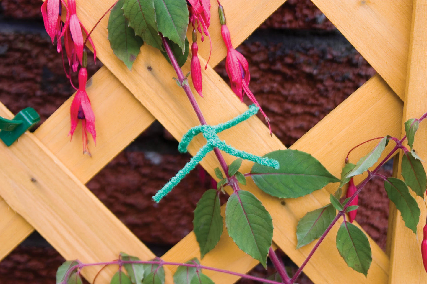 The Good Life Soft Plant Ties x25