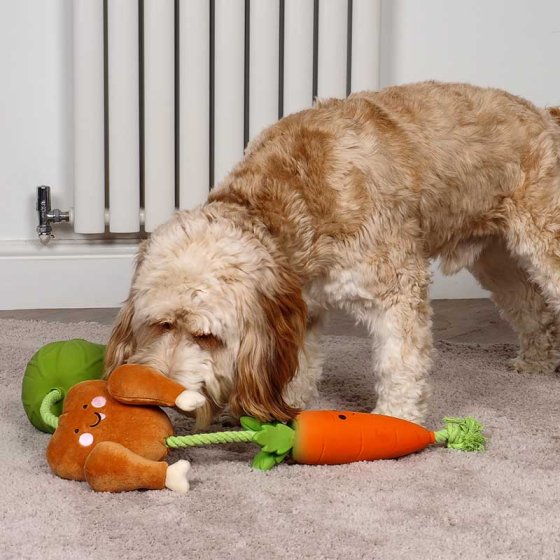 Zoon Dog Toy Tugga Chicken Dinner