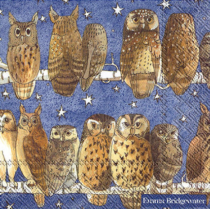 Emma Bridgewater Owls Cocktail Napkins