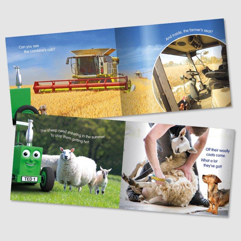 Tractor Ted A Summer's Day Story Book