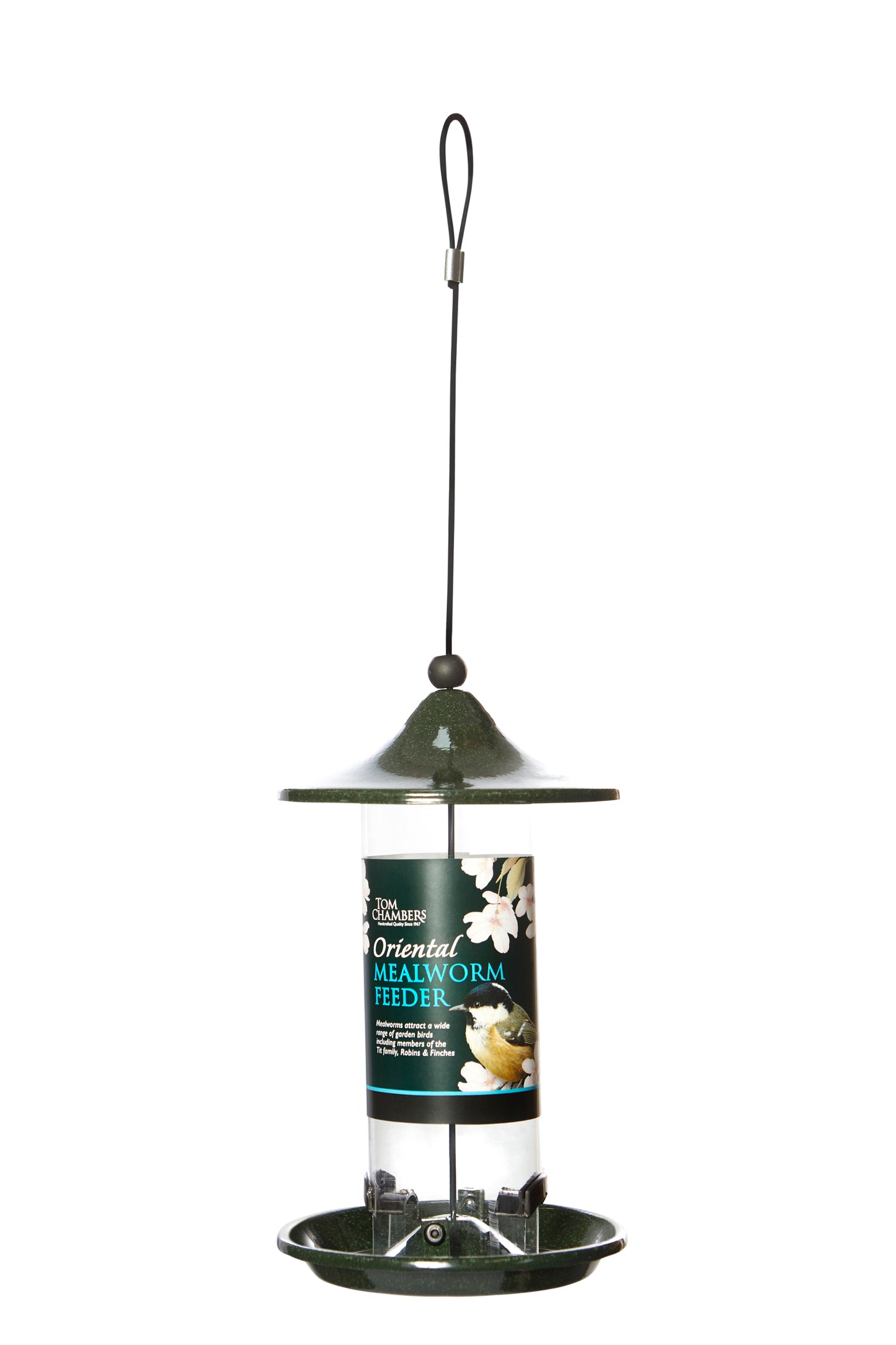 Tom Chambers Oriental Mealworm Feeder