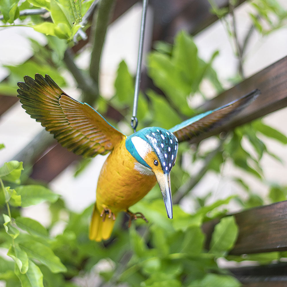 La Hacienda British Birds in Flight Kingfisher