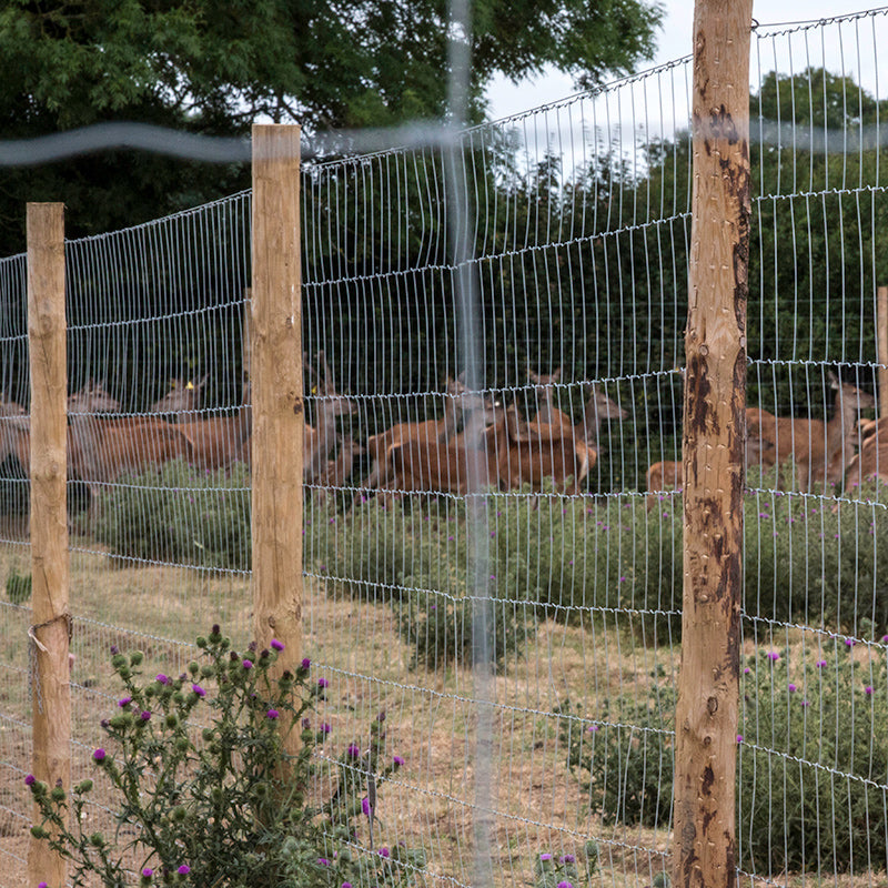 Hinge Joint LHT13/190/15 Light High Tensile Deer Fencing 50m