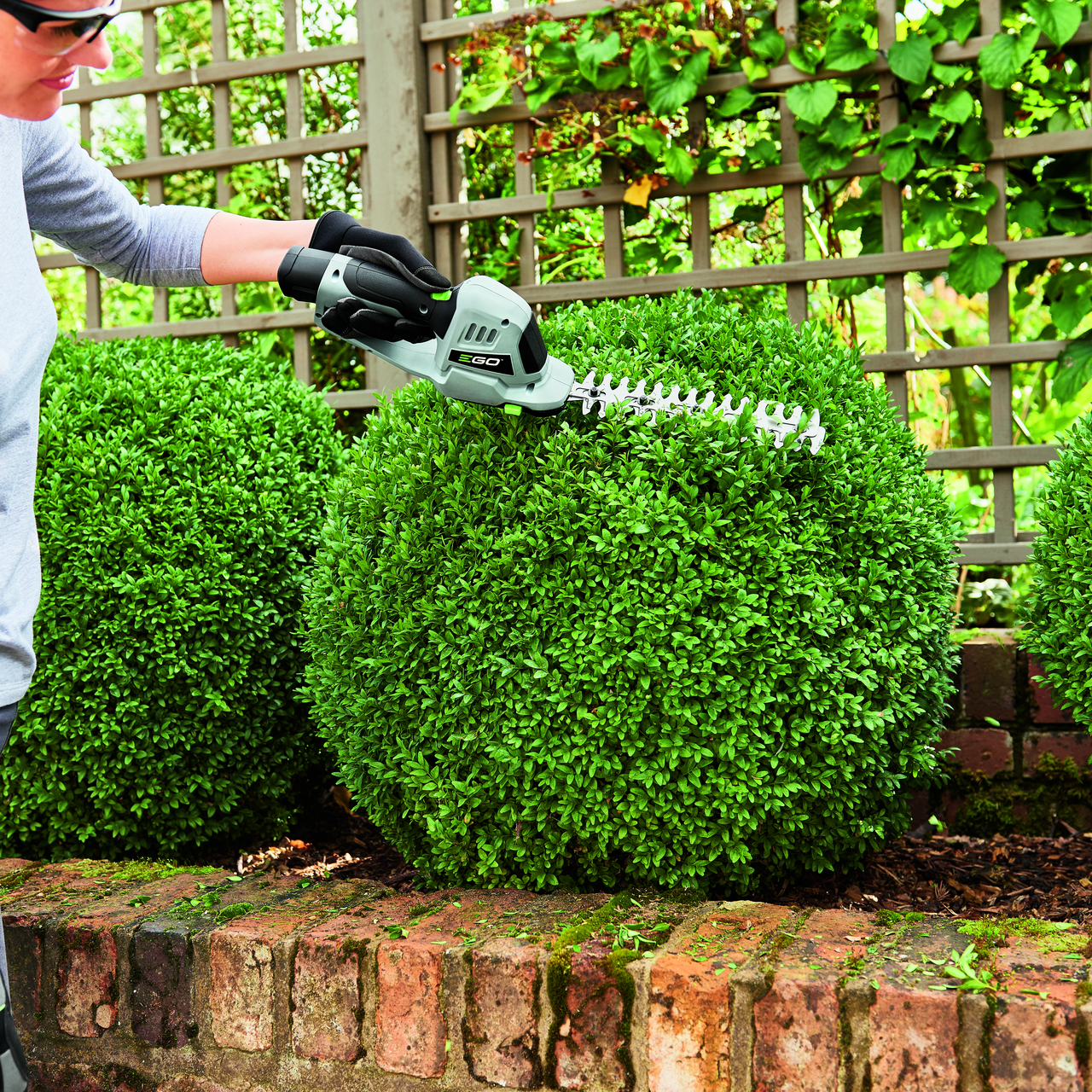 EGO CHT2001E 12V Grass Shear/Shrub Trimmer