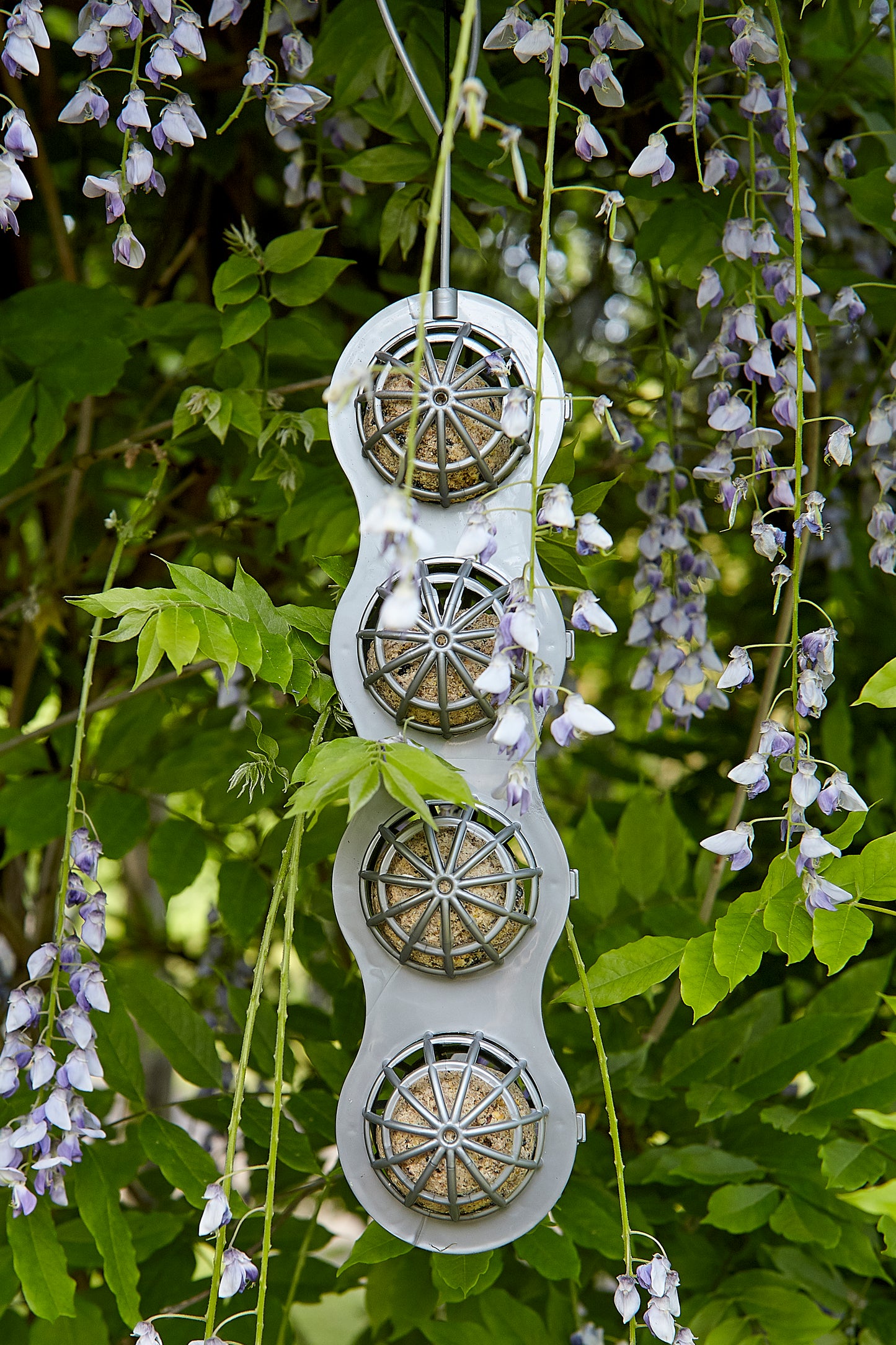 Tom Chambers Essential Fat Ball Feeder c/w Fat Balls