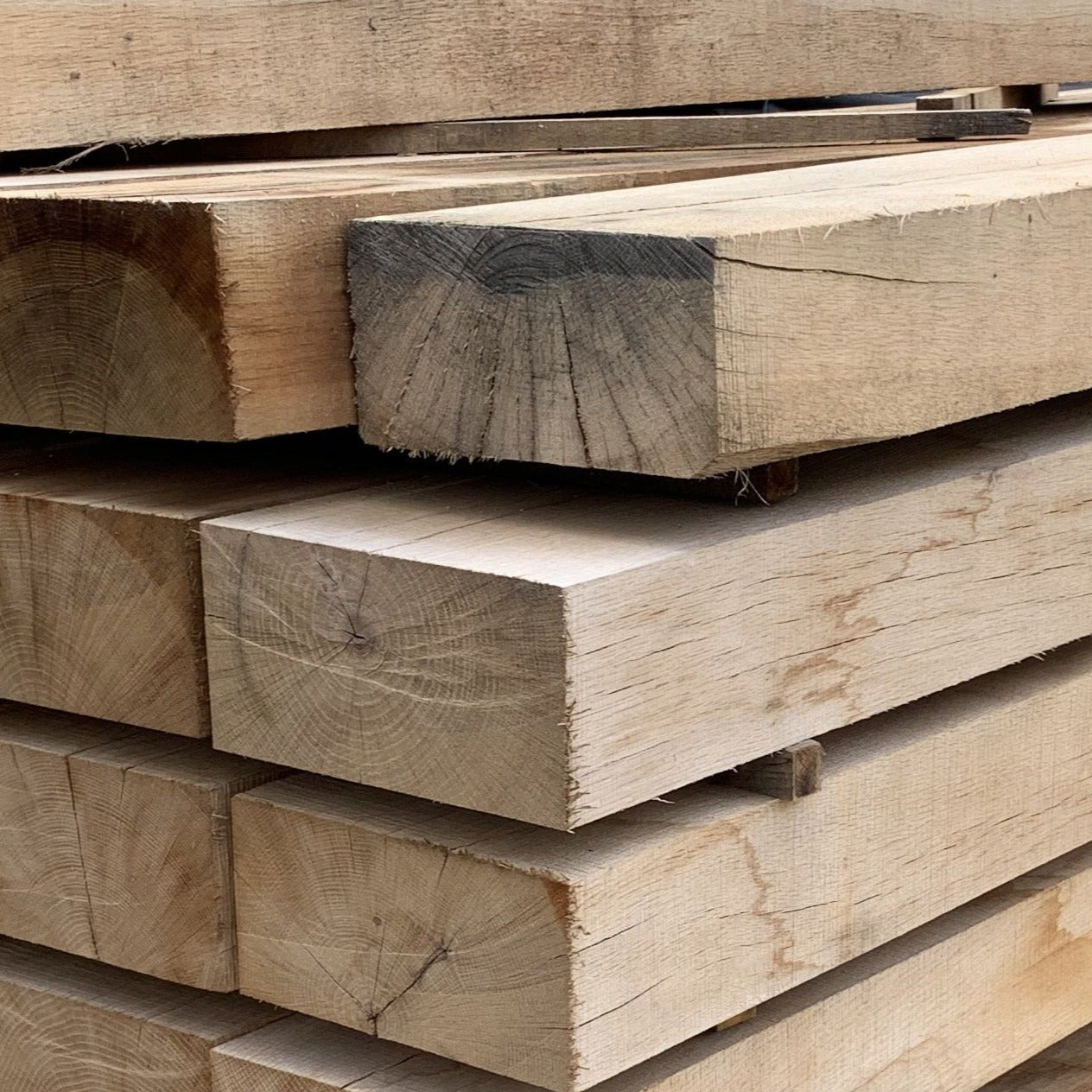 Premium Oak Sleeper 8' x 8" x 4"