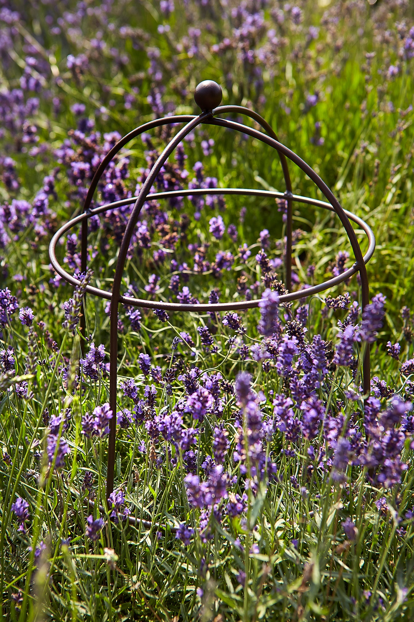 Tom Chambers Botanical Herbaceous Cloche Plant Support